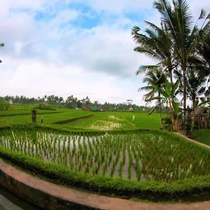 Vinarya Ubud